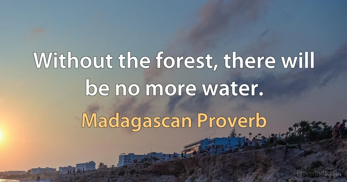 Without the forest, there will be no more water. (Madagascan Proverb)