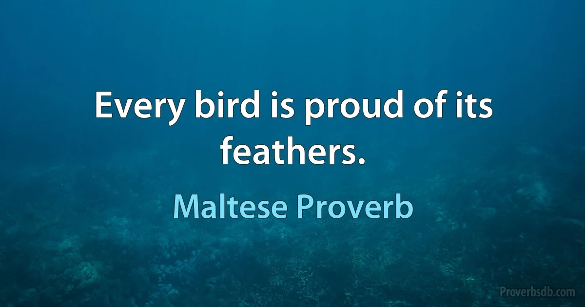 Every bird is proud of its feathers. (Maltese Proverb)