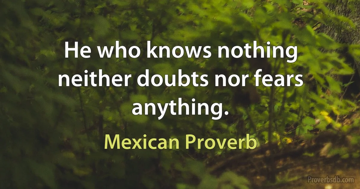 He who knows nothing neither doubts nor fears anything. (Mexican Proverb)