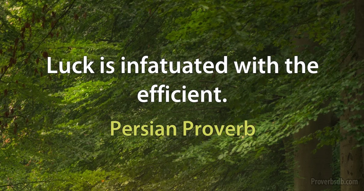 Luck is infatuated with the efficient. (Persian Proverb)