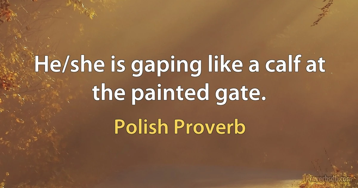 He/she is gaping like a calf at the painted gate. (Polish Proverb)