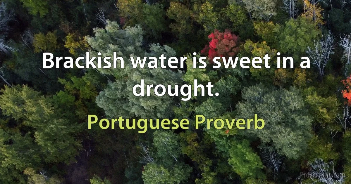 Brackish water is sweet in a drought. (Portuguese Proverb)