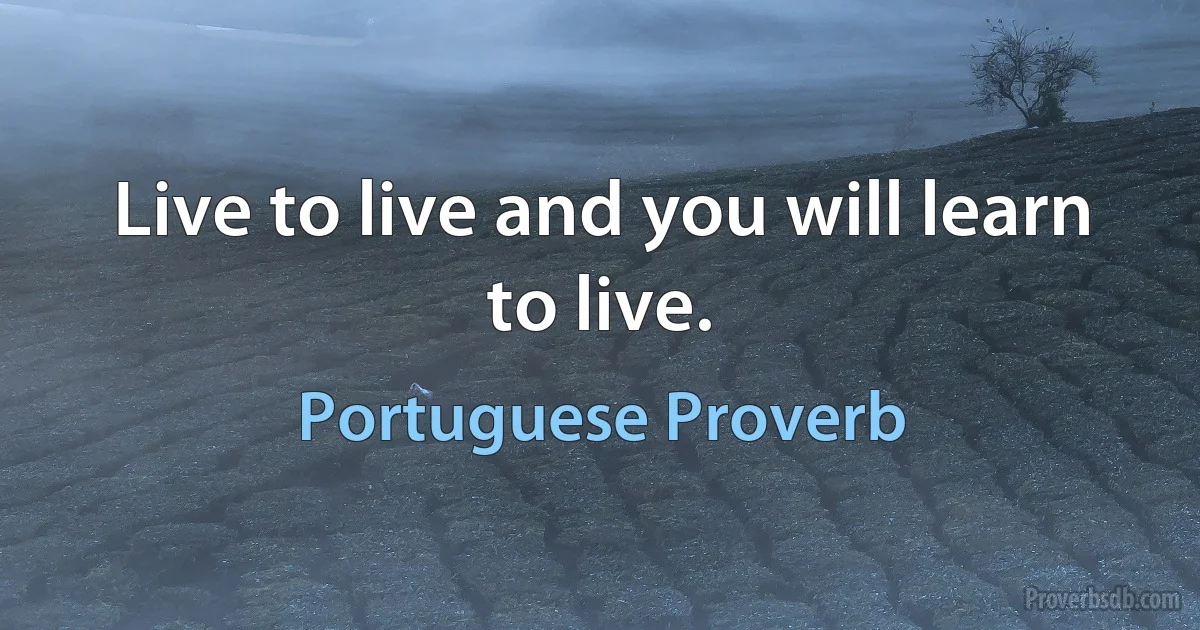 Live to live and you will learn to live. (Portuguese Proverb)