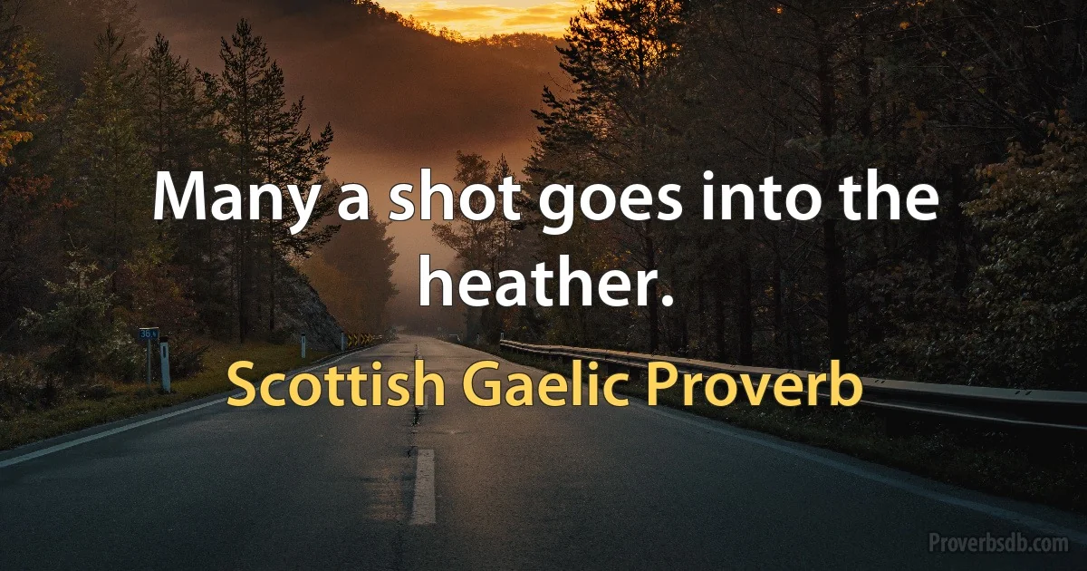 Many a shot goes into the heather. (Scottish Gaelic Proverb)