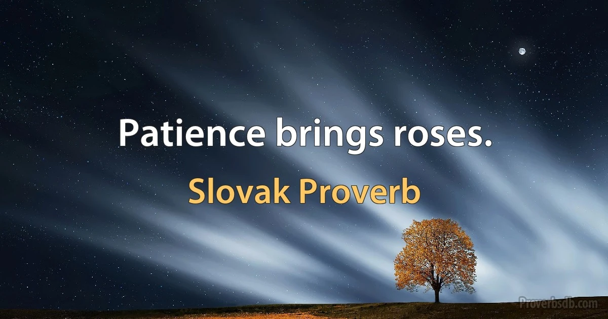 Patience brings roses. (Slovak Proverb)