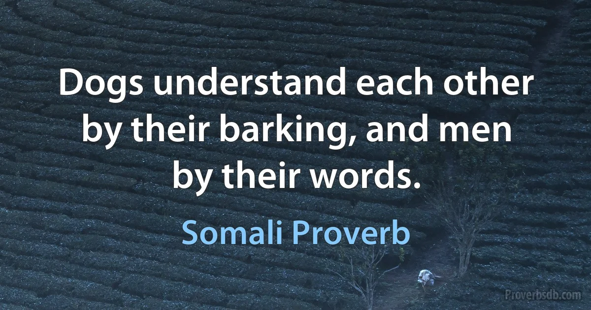 Dogs understand each other by their barking, and men by their words. (Somali Proverb)