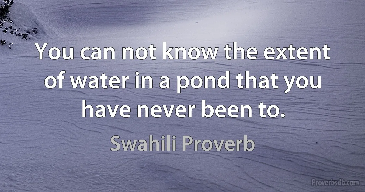 You can not know the extent of water in a pond that you have never been to. (Swahili Proverb)