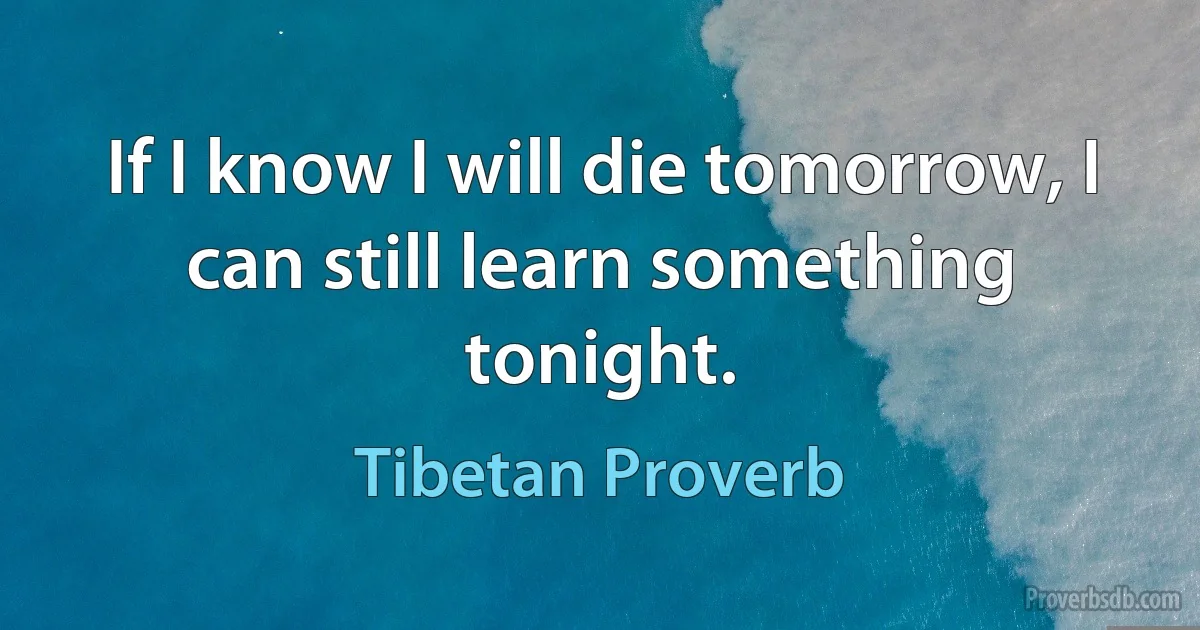 If I know I will die tomorrow, I can still learn something tonight. (Tibetan Proverb)