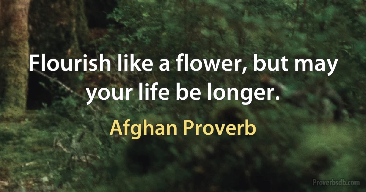 Flourish like a flower, but may your life be longer. (Afghan Proverb)