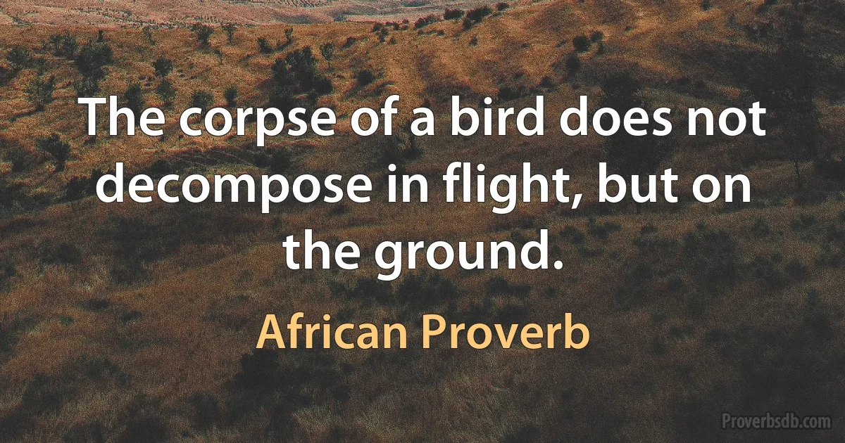 The corpse of a bird does not decompose in flight, but on the ground. (African Proverb)