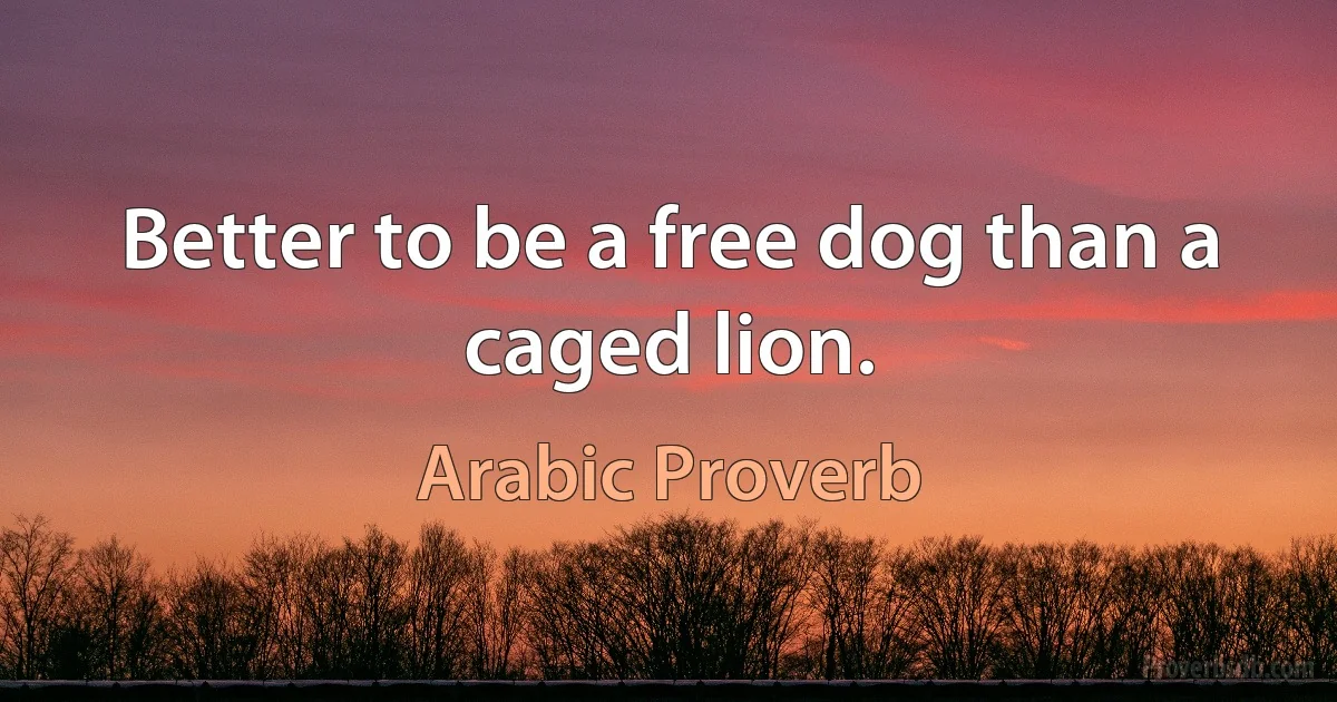 Better to be a free dog than a caged lion. (Arabic Proverb)