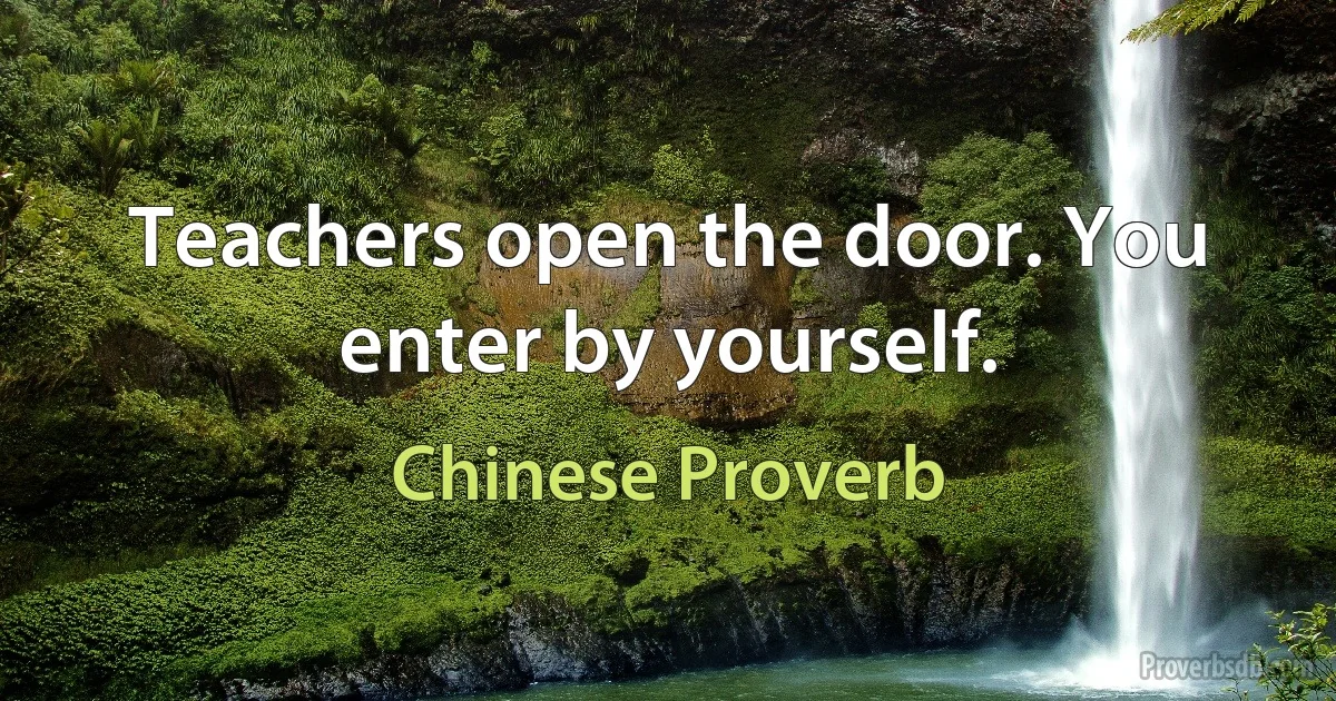 Teachers open the door. You enter by yourself. (Chinese Proverb)