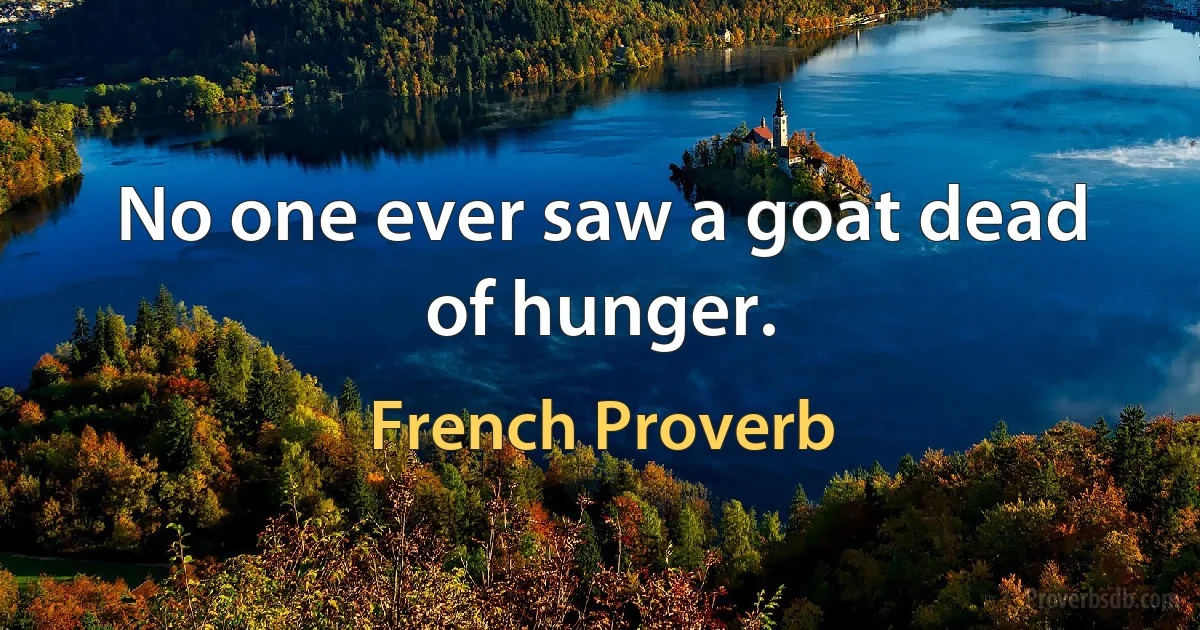 No one ever saw a goat dead of hunger. (French Proverb)