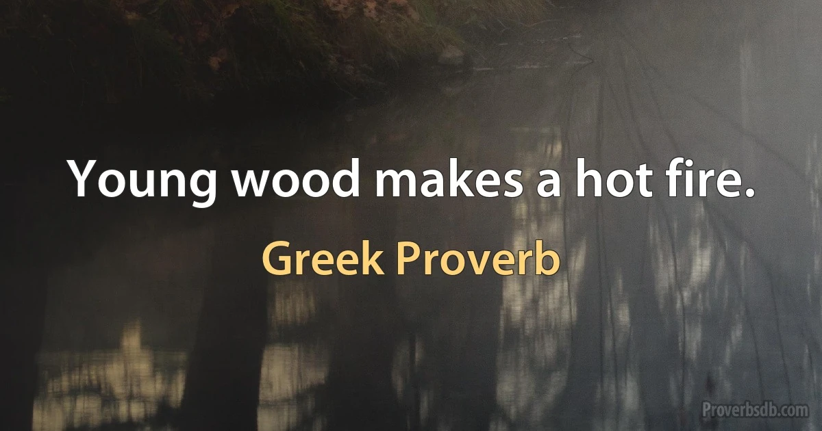 Young wood makes a hot fire. (Greek Proverb)