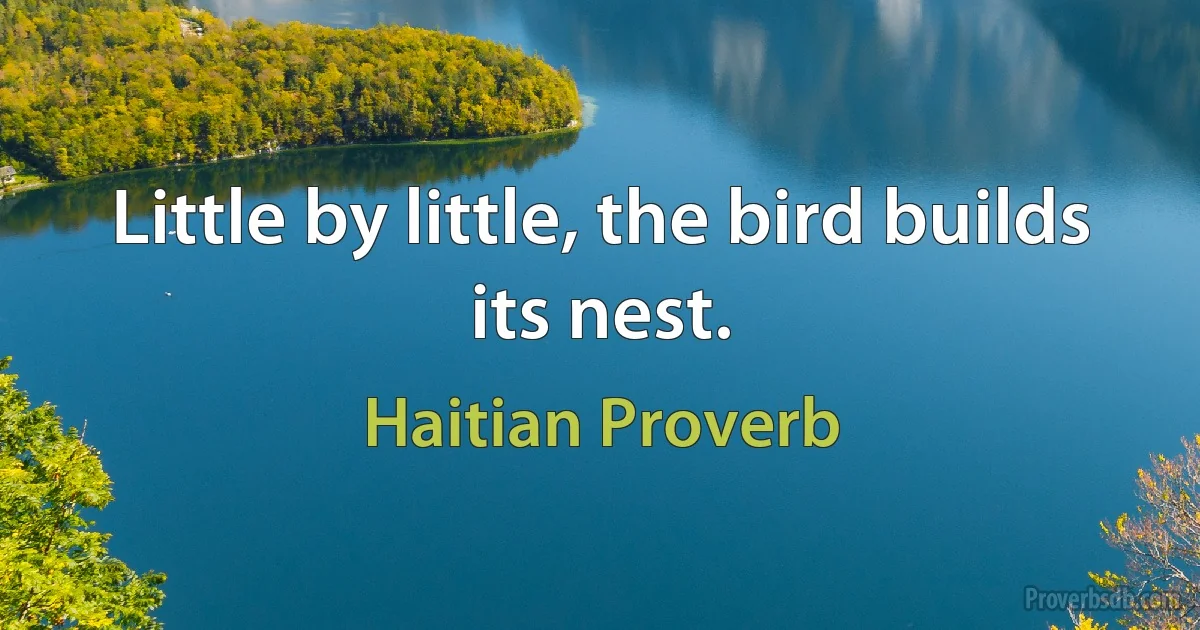 Little by little, the bird builds its nest. (Haitian Proverb)