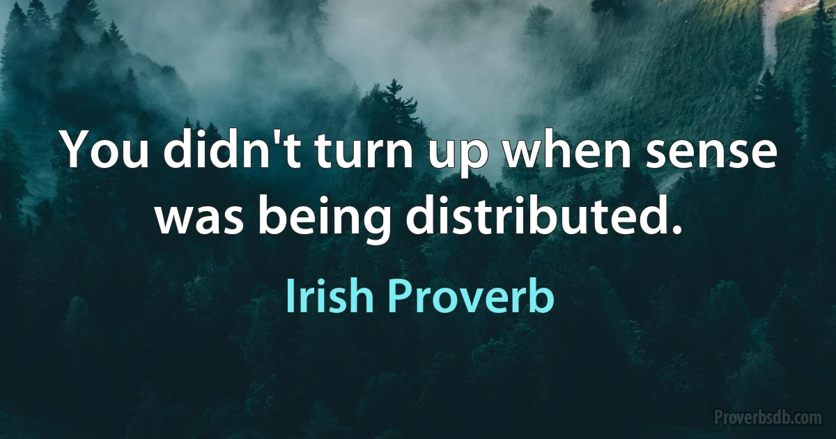 You didn't turn up when sense was being distributed. (Irish Proverb)