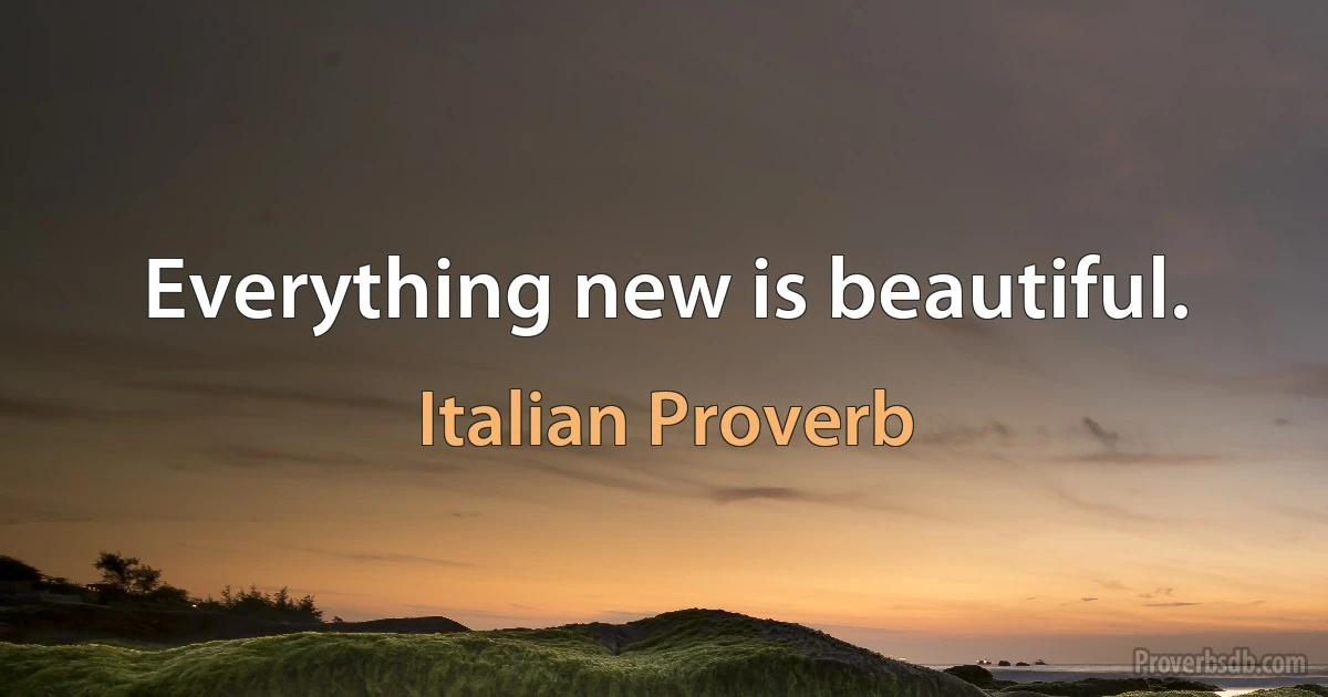 Everything new is beautiful. (Italian Proverb)