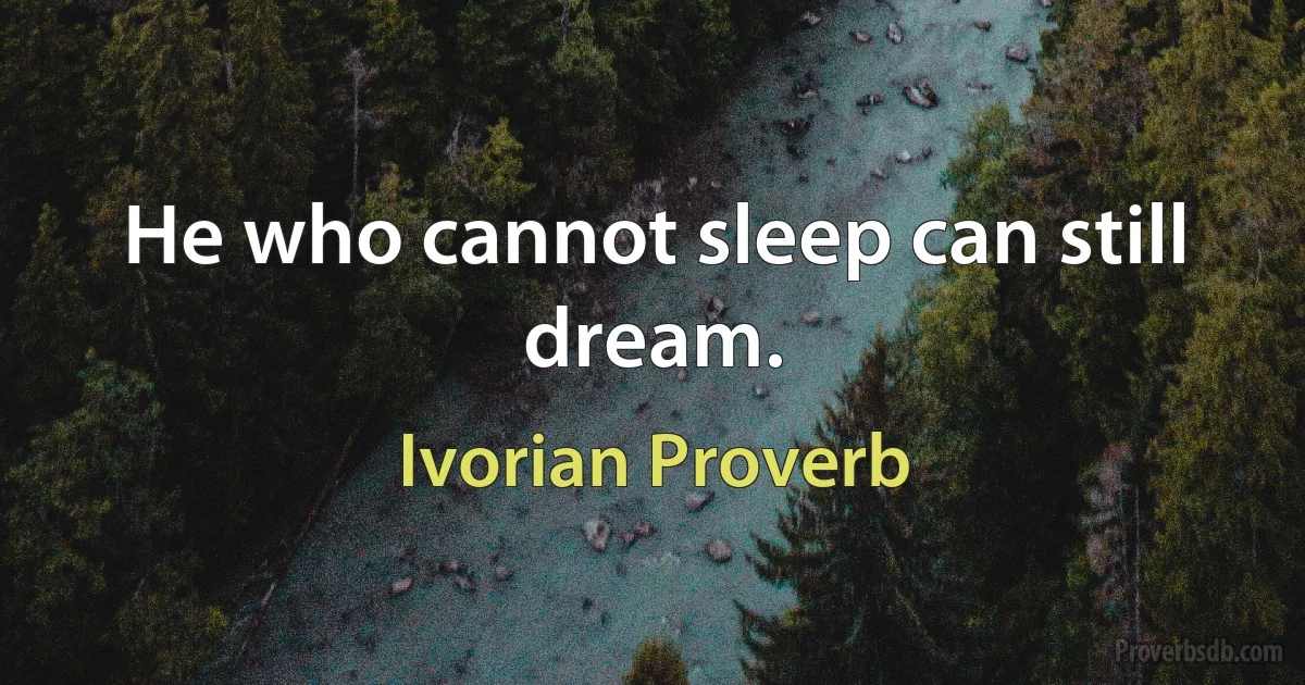 He who cannot sleep can still dream. (Ivorian Proverb)