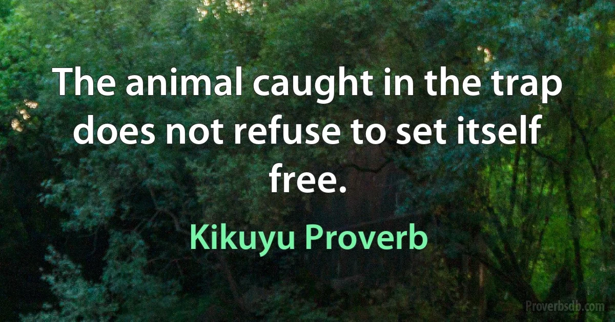 The animal caught in the trap does not refuse to set itself free. (Kikuyu Proverb)