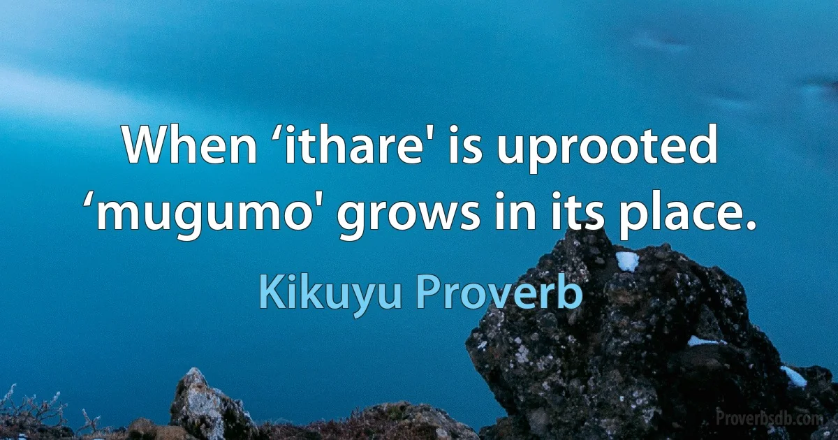 When ‘ithare' is uprooted ‘mugumo' grows in its place. (Kikuyu Proverb)