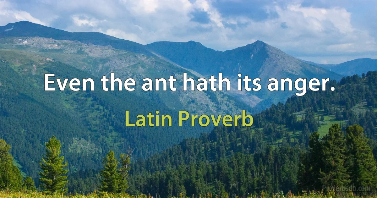 Even the ant hath its anger. (Latin Proverb)