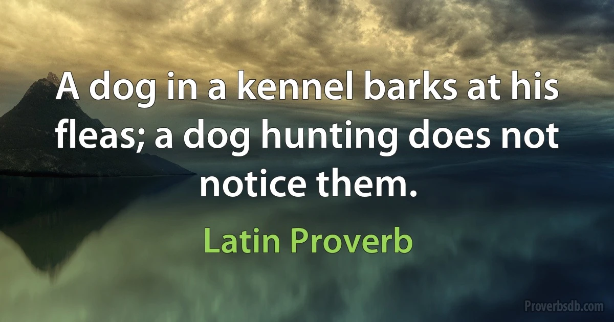 A dog in a kennel barks at his fleas; a dog hunting does not notice them. (Latin Proverb)