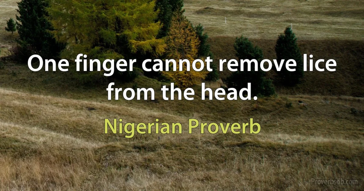 One finger cannot remove lice from the head. (Nigerian Proverb)