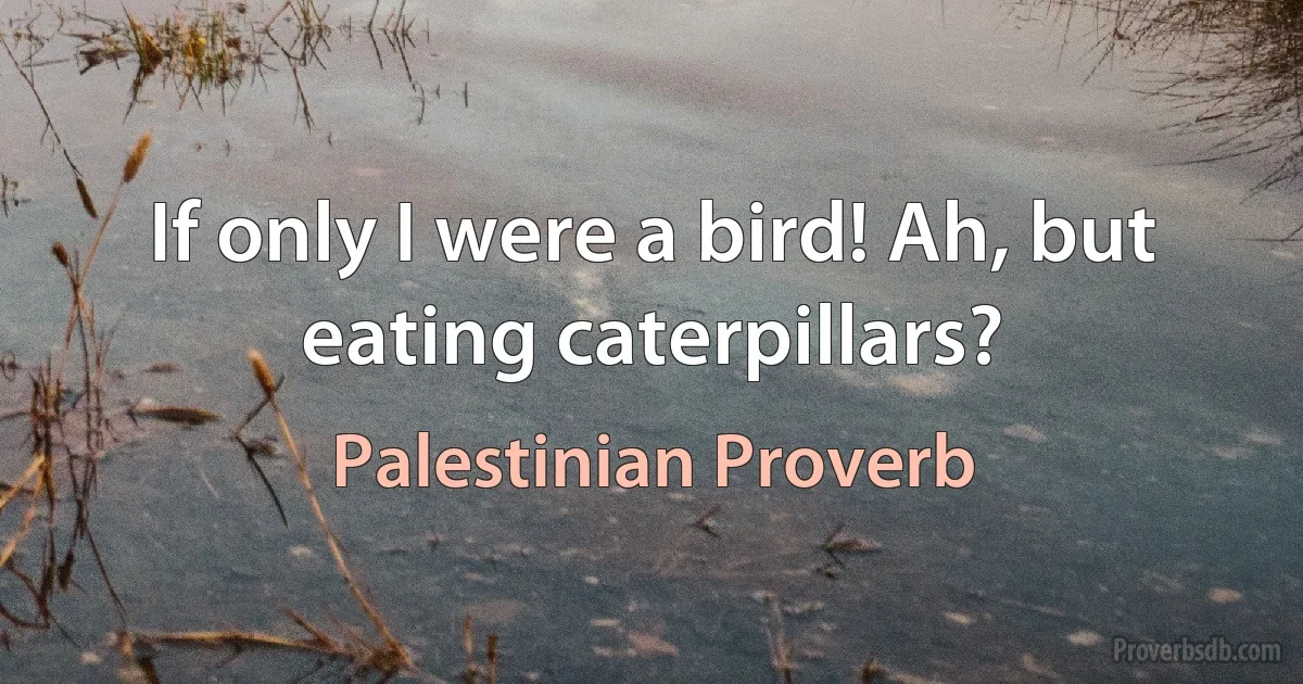 If only I were a bird! Ah, but eating caterpillars? (Palestinian Proverb)