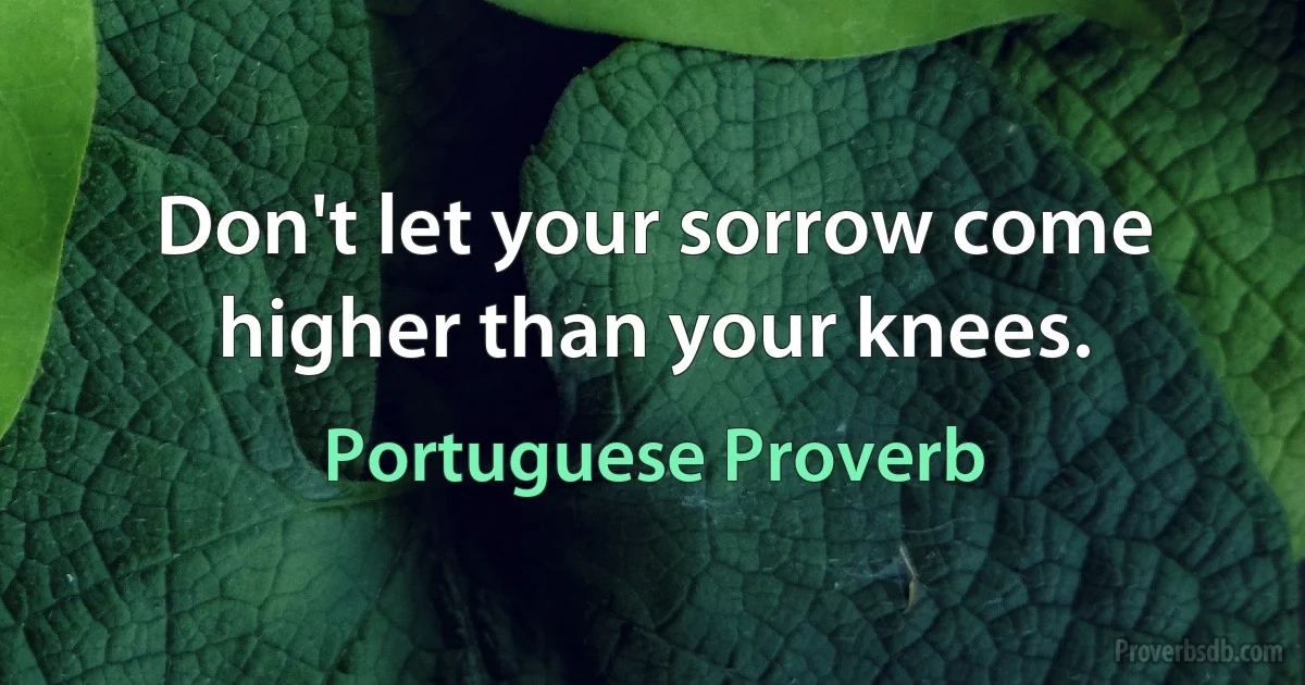 Don't let your sorrow come higher than your knees. (Portuguese Proverb)