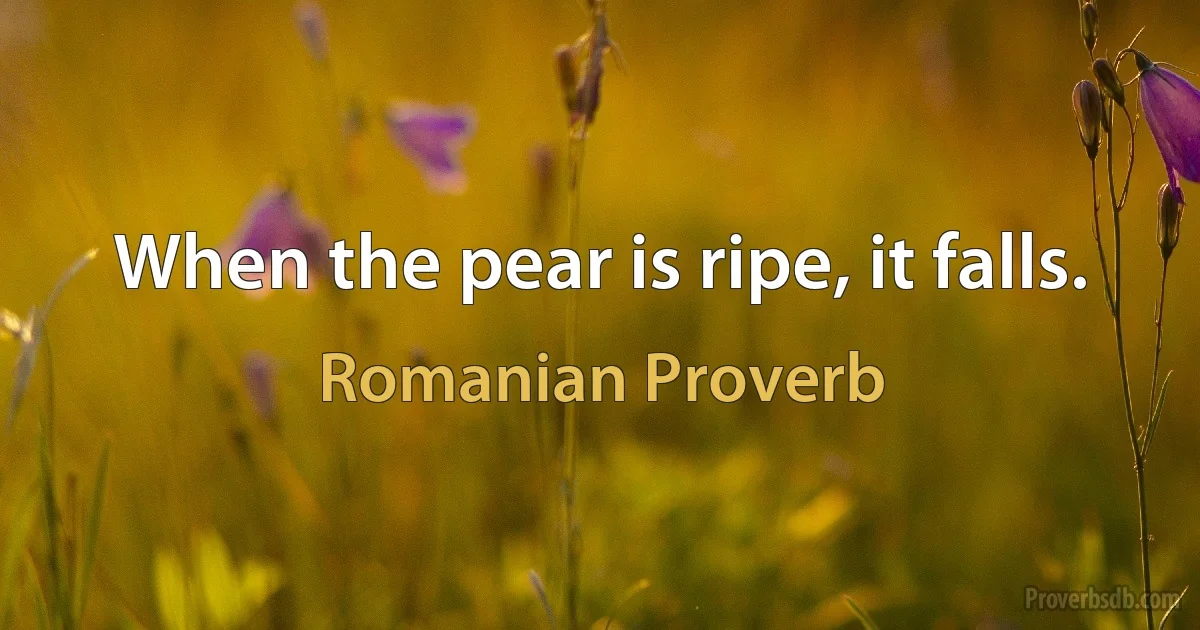 When the pear is ripe, it falls. (Romanian Proverb)