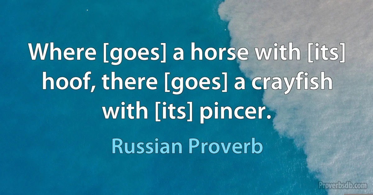 Where [goes] a horse with [its] hoof, there [goes] a crayfish with [its] pincer. (Russian Proverb)