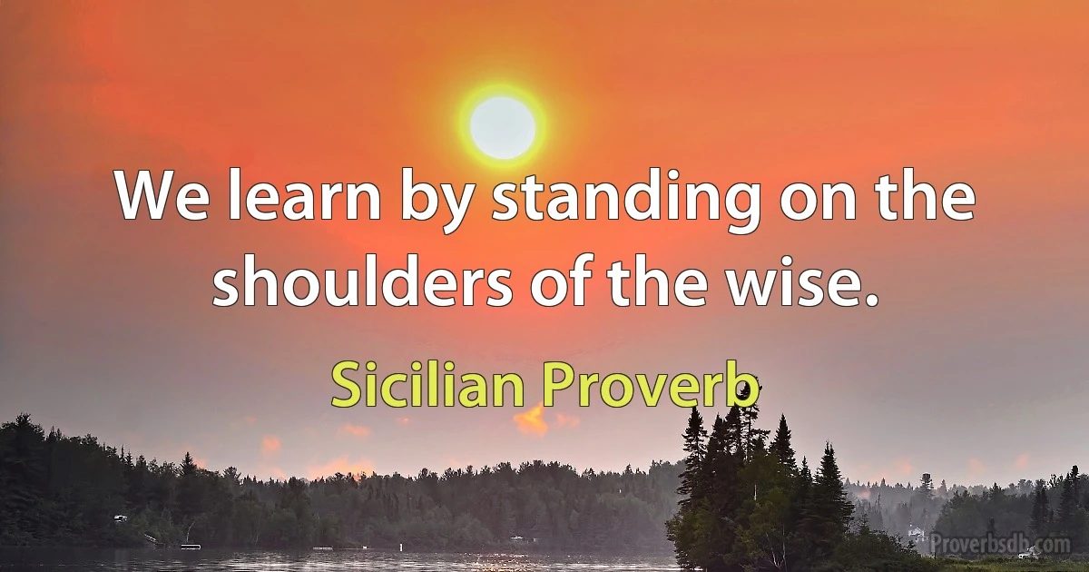 We learn by standing on the shoulders of the wise. (Sicilian Proverb)