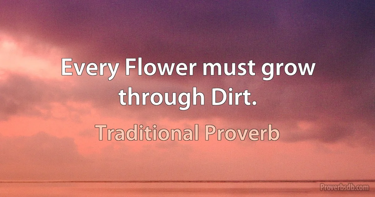 Every Flower must grow through Dirt. (Traditional Proverb)