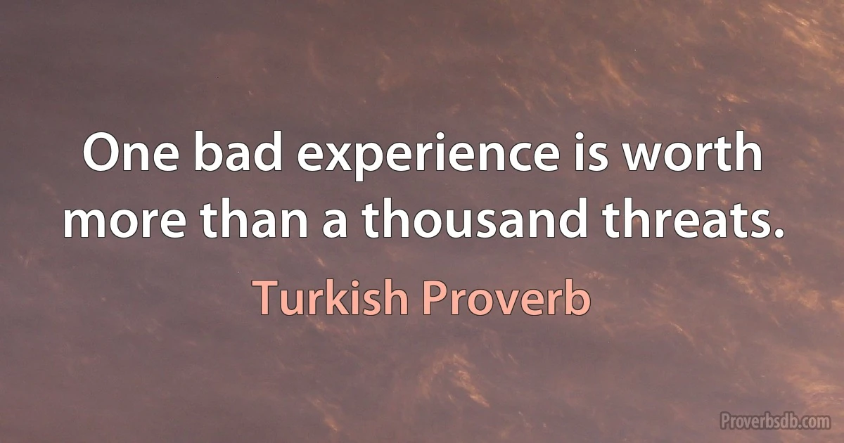 One bad experience is worth more than a thousand threats. (Turkish Proverb)