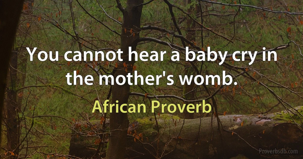 You cannot hear a baby cry in the mother's womb. (African Proverb)