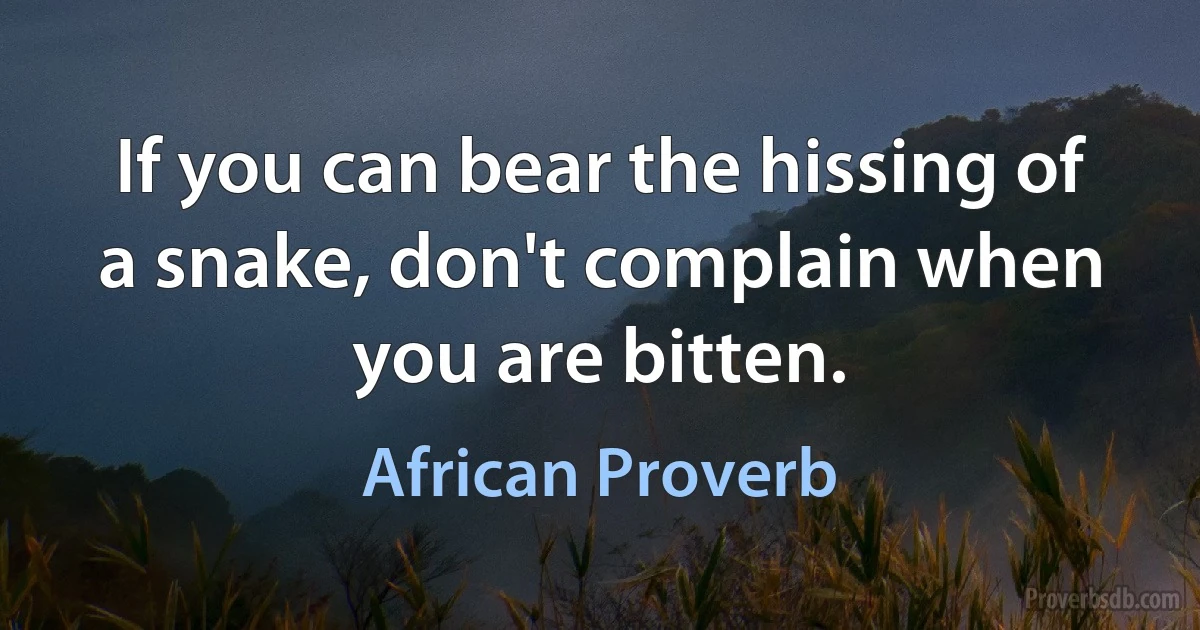 If you can bear the hissing of a snake, don't complain when you are bitten. (African Proverb)