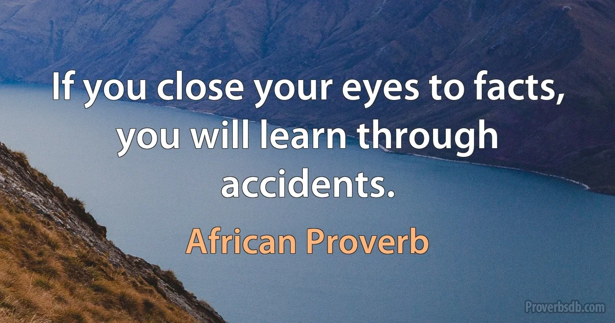 If you close your eyes to facts, you will learn through accidents. (African Proverb)