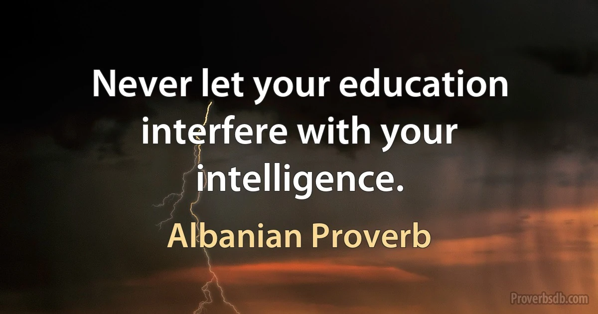 Never let your education interfere with your intelligence. (Albanian Proverb)