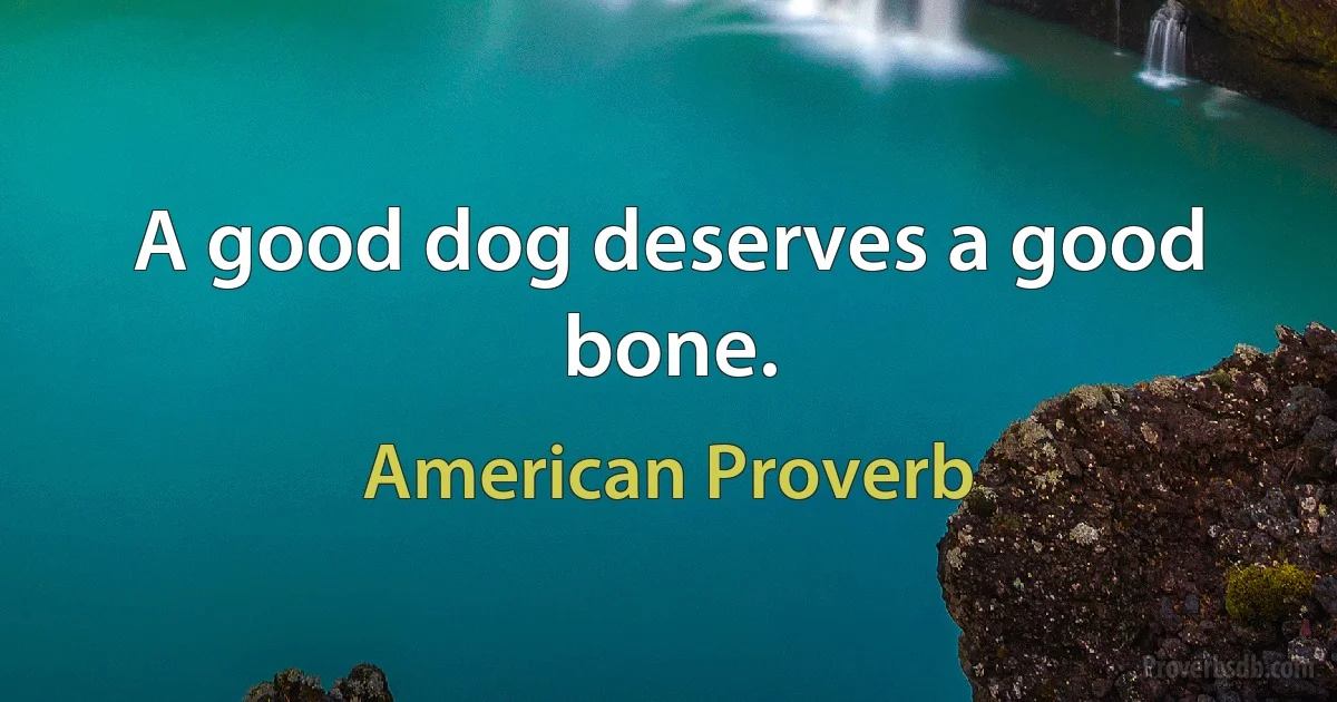 A good dog deserves a good bone. (American Proverb)