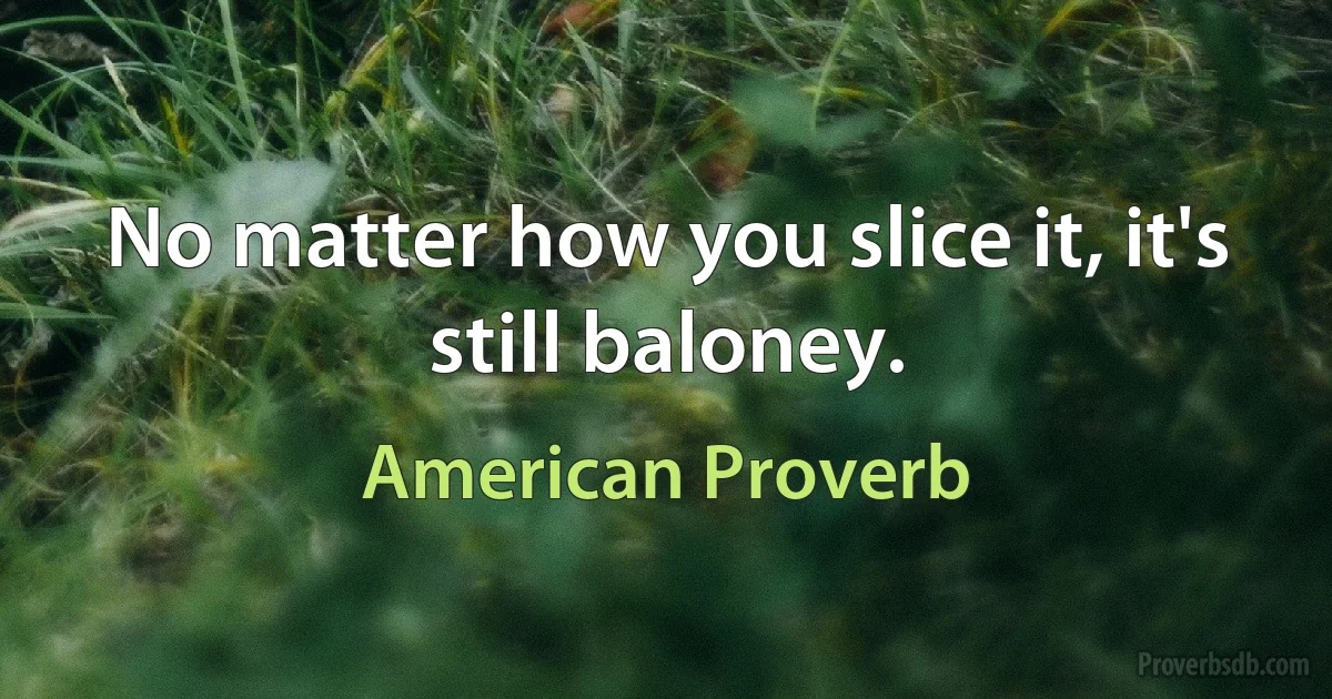 No matter how you slice it, it's still baloney. (American Proverb)