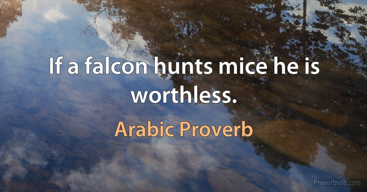 If a falcon hunts mice he is worthless. (Arabic Proverb)