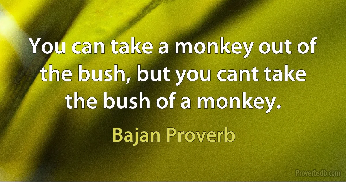 You can take a monkey out of the bush, but you cant take the bush of a monkey. (Bajan Proverb)