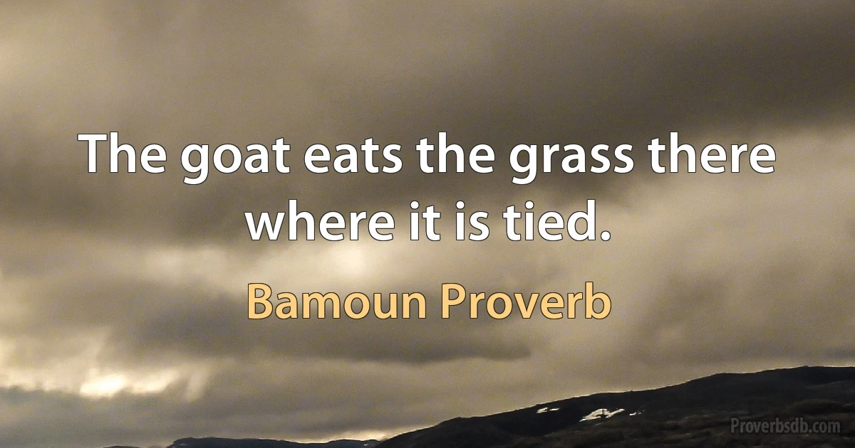 The goat eats the grass there where it is tied. (Bamoun Proverb)