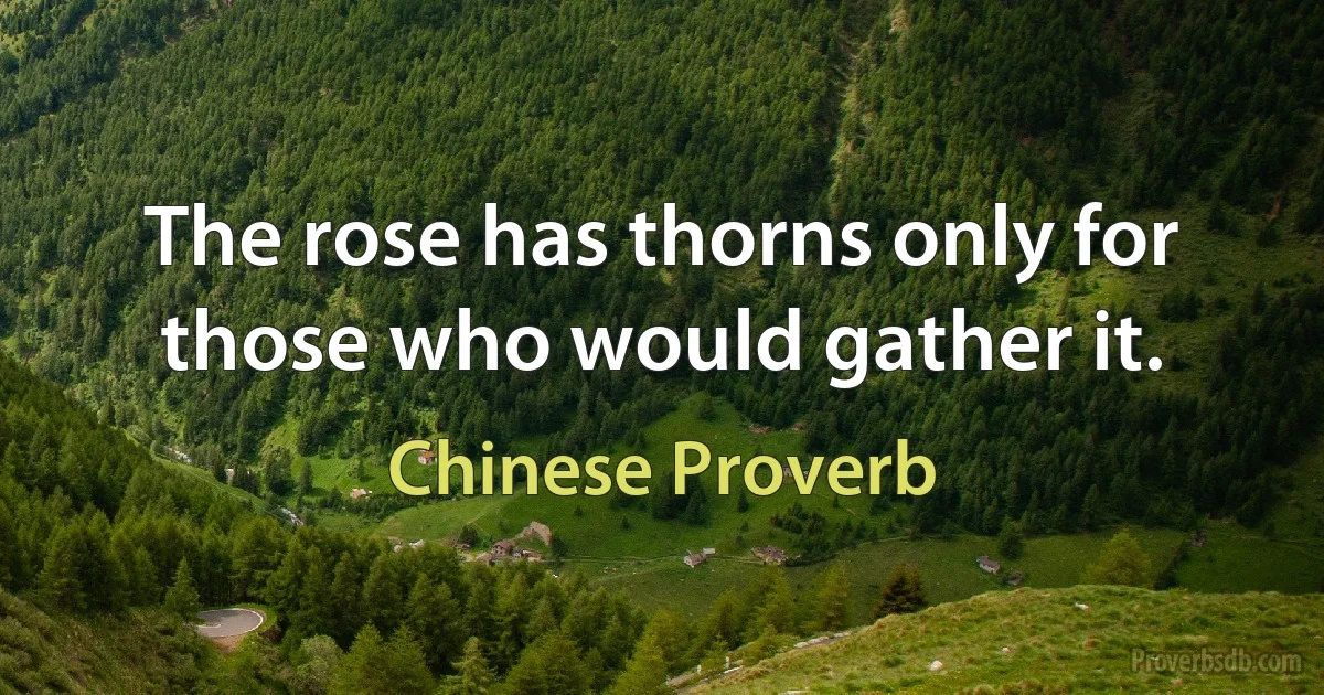 The rose has thorns only for those who would gather it. (Chinese Proverb)