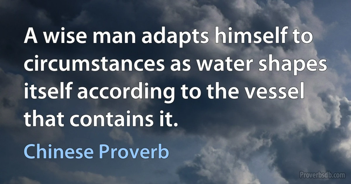 A wise man adapts himself to circumstances as water shapes itself according to the vessel that contains it. (Chinese Proverb)