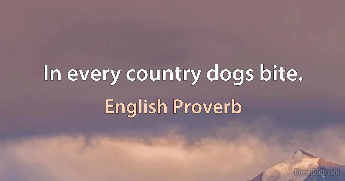 In every country dogs bite. (English Proverb)