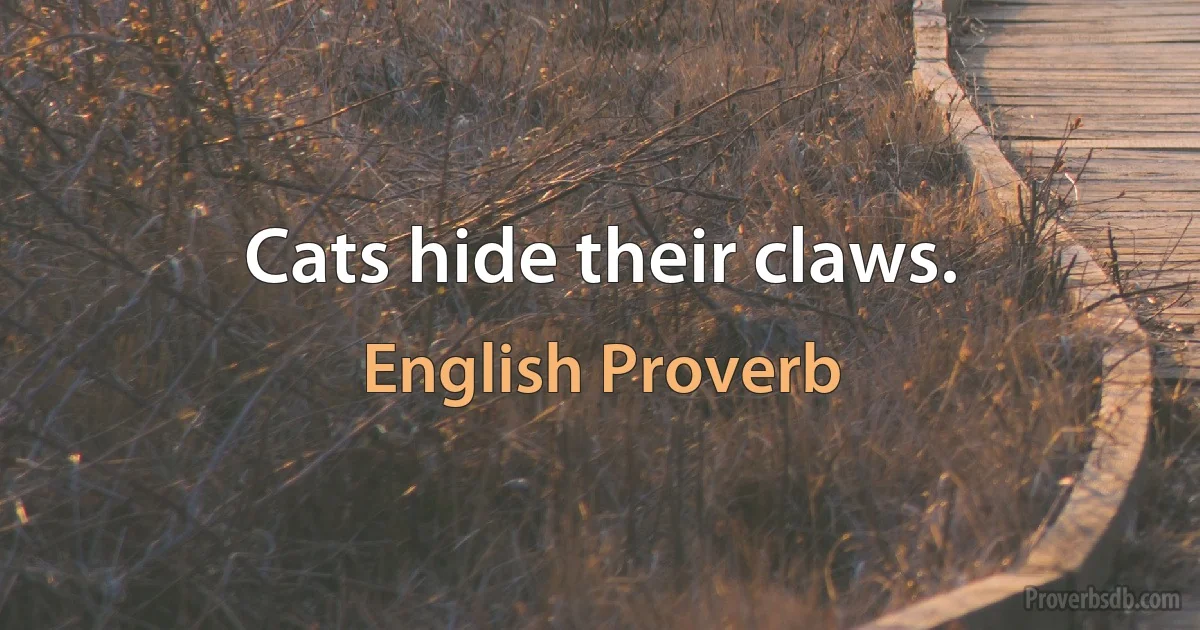 Cats hide their claws. (English Proverb)