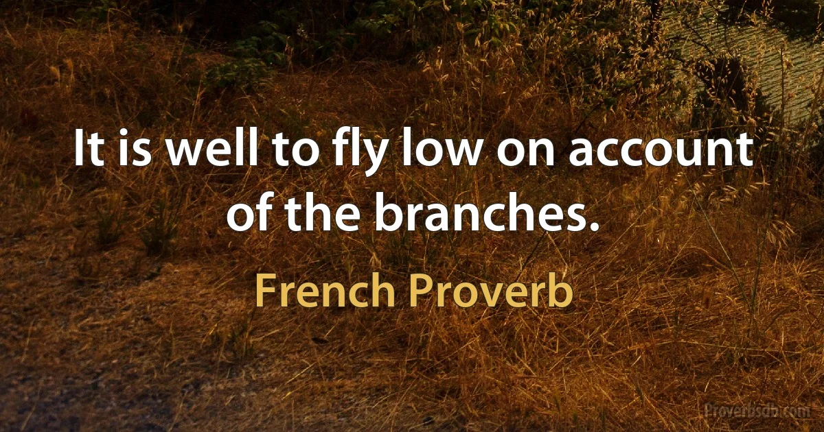 It is well to fly low on account of the branches. (French Proverb)