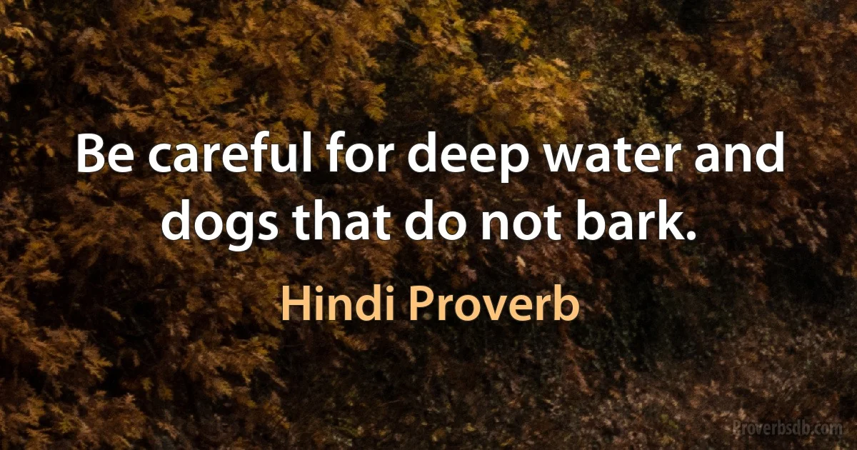 Be careful for deep water and dogs that do not bark. (Hindi Proverb)