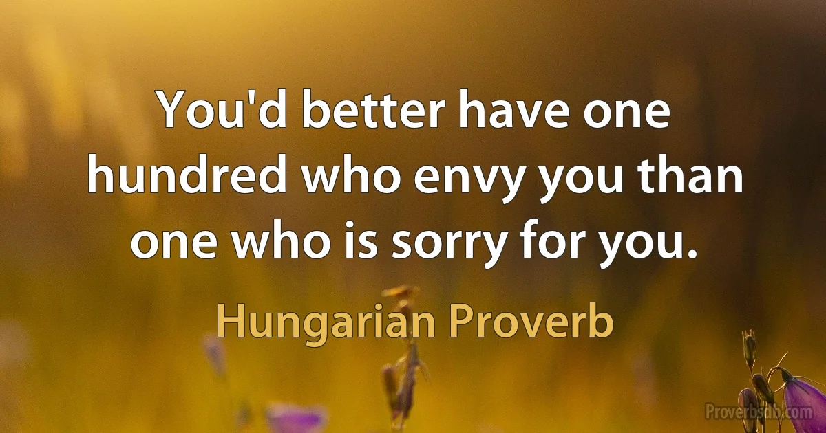 You'd better have one hundred who envy you than one who is sorry for you. (Hungarian Proverb)